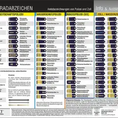Bundeswehr Grad: Übersicht über Dienstgrade der Polizei und des Zolls, mit Abzeichen und Bezeichnungen.