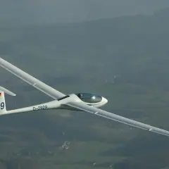 Ein Segelflugzeug, Modell ASG 29, mit der Kennung D-2929, fliegt über eine grüne Landschaft.