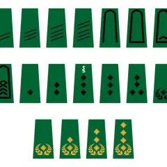 Abzeichen für den Soldaten Rang: verschiedene Schulterklappen mit Strichen, Rauten, Lorbeerzweigen und einem Caduceus-Symbol.