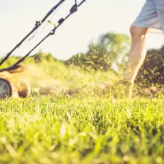 Mann mäht Rasen, Gras fliegt. Umstellen von Benzin auf Aspen für sauberere Luft.