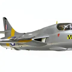 Silberner Hawker Hunter T2 Jet mit gelben Streifen und einem Tigerkopf-Abzeichen.