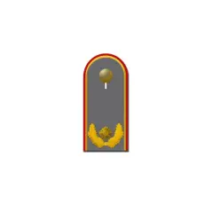 Schulterklappe mit goldenem Stern und Lorbeerkranz, ein Brigadegeneral Abzeichen.