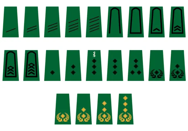 Abzeichen für den Soldaten Rang: verschiedene Schulterklappen mit Strichen, Rauten, Lorbeerzweigen und einem Caduceus-Symbol.
