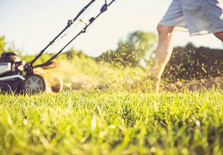 Mann mäht Rasen, Gras fliegt. Umstellen von Benzin auf Aspen für sauberere Luft.