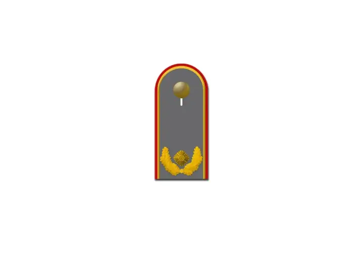 Schulterklappe mit goldenem Stern und Lorbeerkranz, ein Brigadegeneral Abzeichen.
