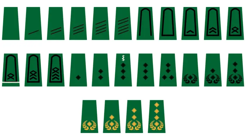 Abzeichen für den Soldaten Rang: verschiedene Schulterklappen mit Strichen, Rauten, Lorbeerzweigen und einem Caduceus-Symbol.