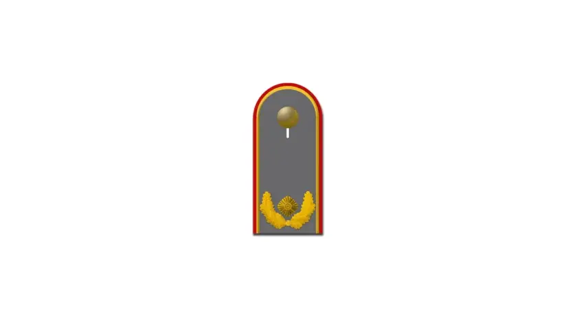 Schulterklappe mit goldenem Stern und Lorbeerkranz, ein Brigadegeneral Abzeichen.