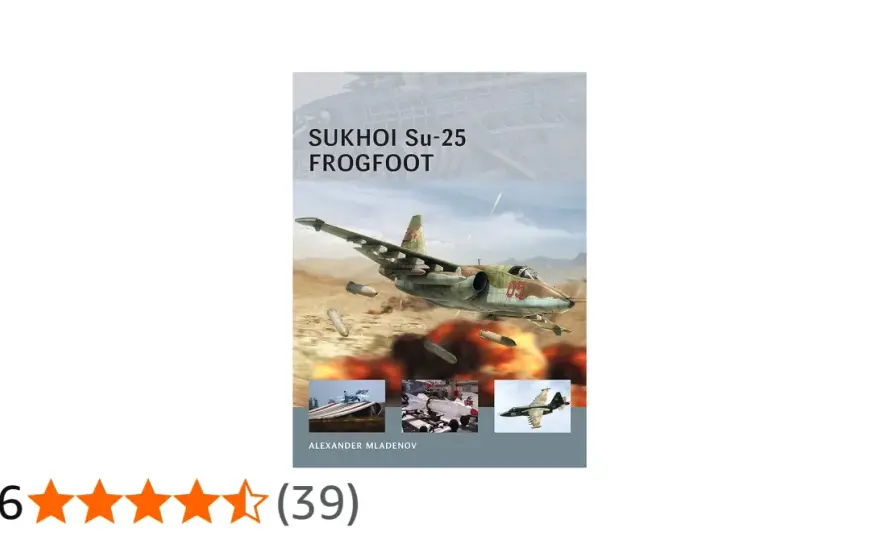 Su-25 Frogfoot - Das unterschätzte Arbeitstier im Detail