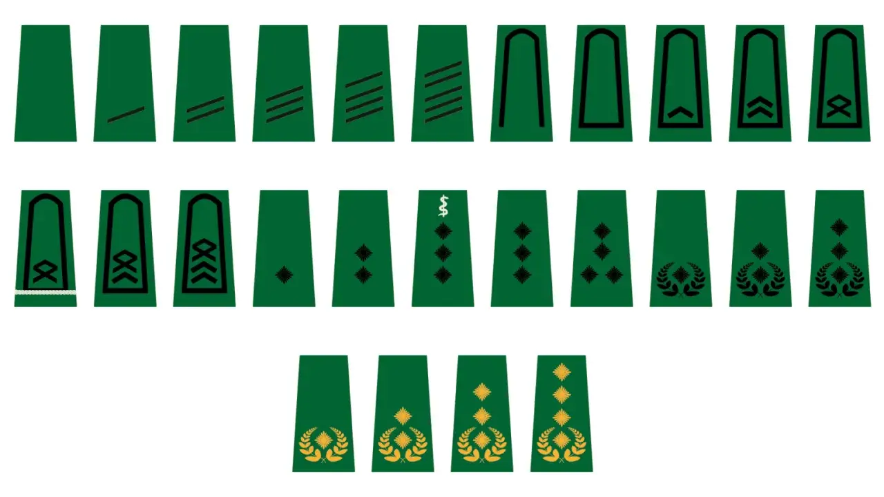 Abzeichen für den Soldaten Rang: verschiedene Schulterklappen mit Strichen, Rauten, Lorbeerzweigen und einem Caduceus-Symbol.