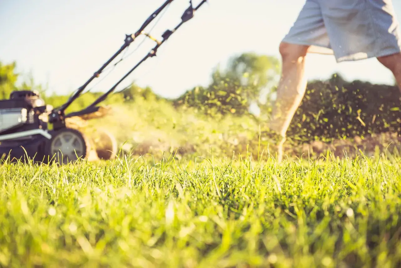 Mann mäht Rasen, Gras fliegt. Umstellen von Benzin auf Aspen für sauberere Luft.