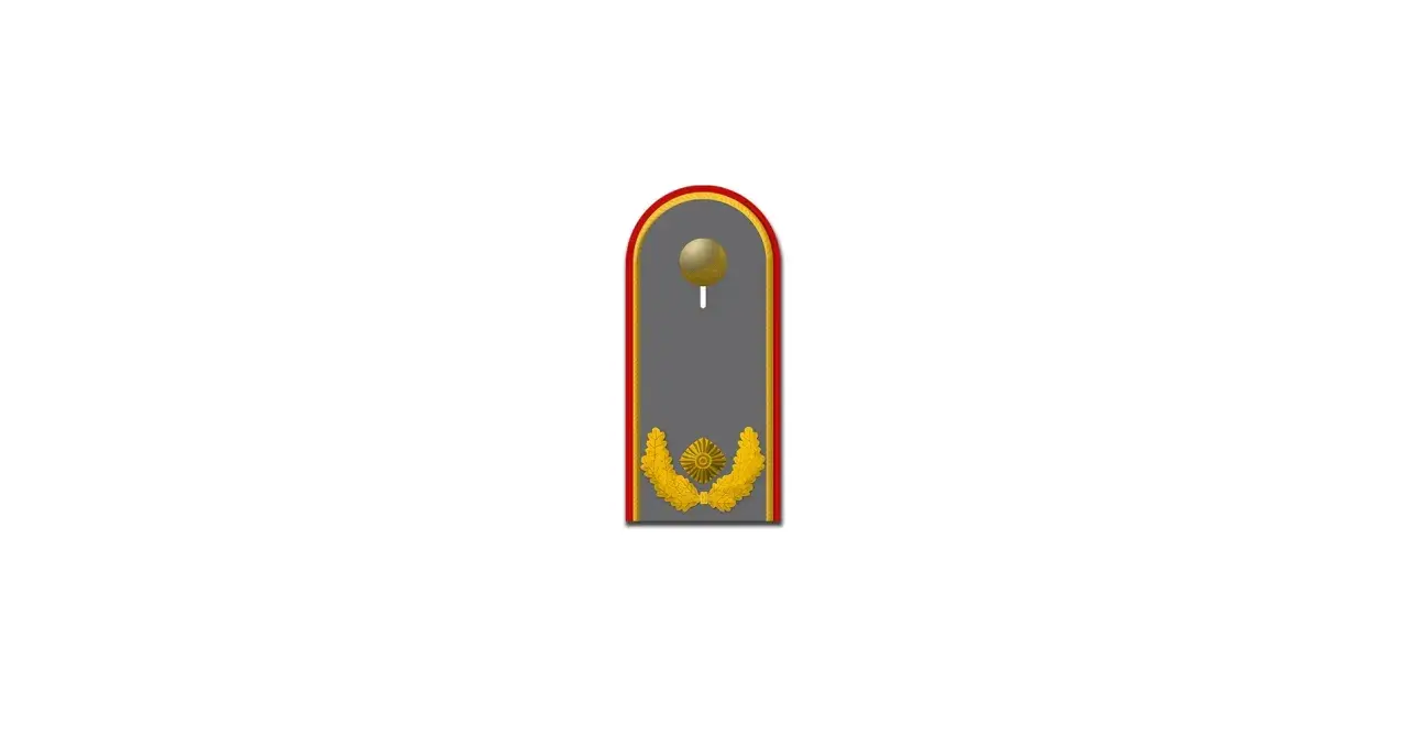 Schulterklappe mit goldenem Stern und Lorbeerkranz, ein Brigadegeneral Abzeichen.