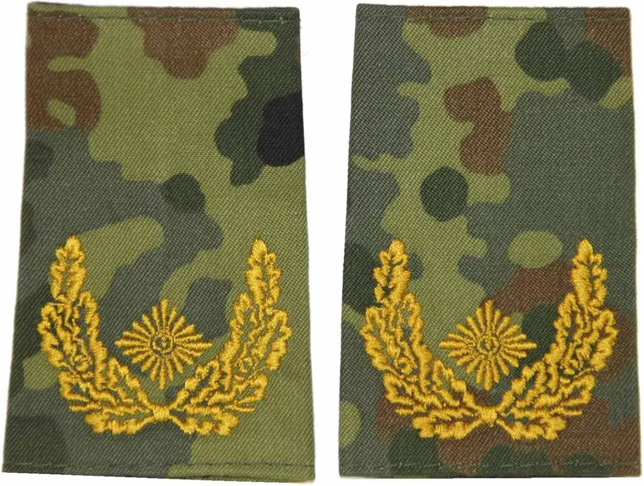 Zwei Schulterklappen mit Tarnmuster und goldenem Eichenlaubkranz, das Abzeichen eines Brigadegenerals.