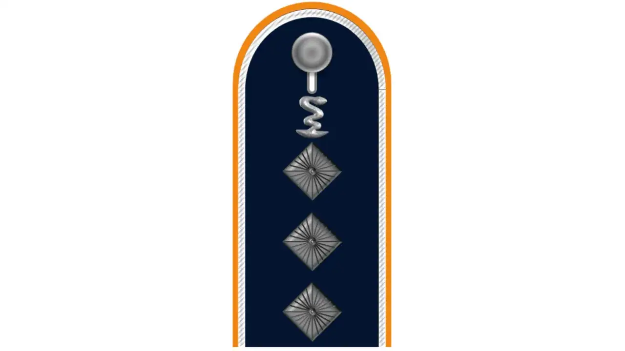 Dienstabzeichen der Bundeswehr: Ein dunkelblaues Abzeichen mit silbernen Raute-Symbolen und einer Schlange, die einen Stab umwickelt.